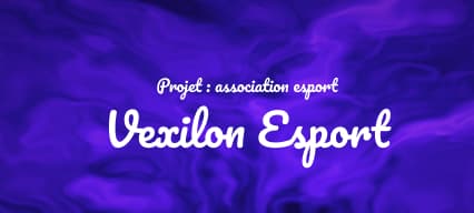 Vexilon Esport Website